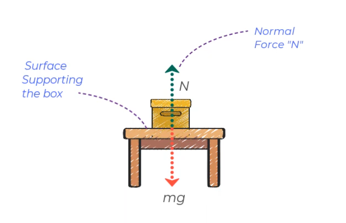 Normal Force